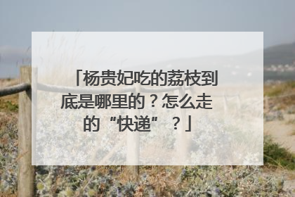 杨贵妃吃的荔枝到底是哪里的？怎么走的“快递”？