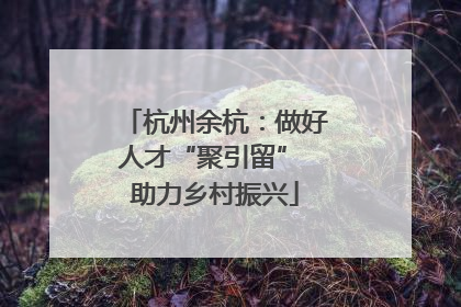 杭州余杭：做好人才“聚引留” 助力乡村振兴