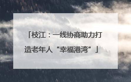 枝江：一线协商助力打造老年人“幸福港湾”