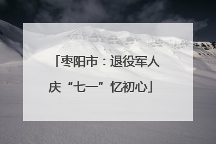 枣阳市：退役军人庆“七一”忆初心