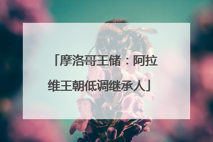 摩洛哥王储：阿拉维王朝低调继承人