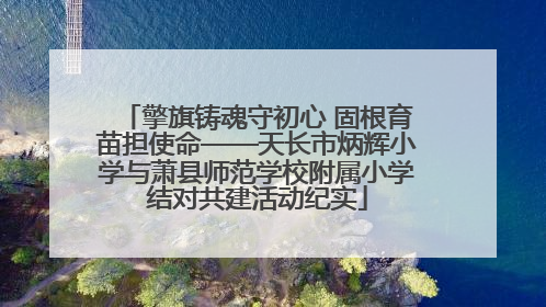 擎旗铸魂守初心 固根育苗担使命——天长市炳辉小学与萧县师范学校附属小学结对共建活动纪实