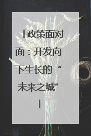 政策面对面：开发向下生长的“未来之城”
