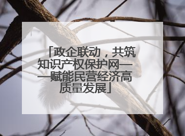政企联动，共筑知识产权保护网——赋能民营经济高质量发展