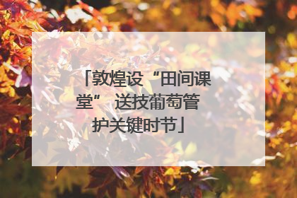 敦煌设“田间课堂” 送技葡萄管护关键时节