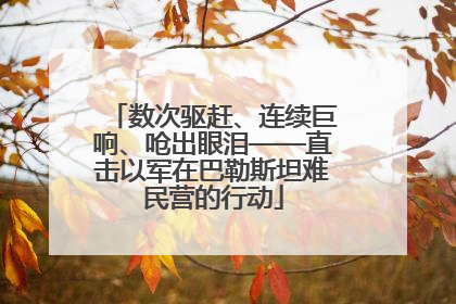 数次驱赶、连续巨响、呛出眼泪——直击以军在巴勒斯坦难民营的行动