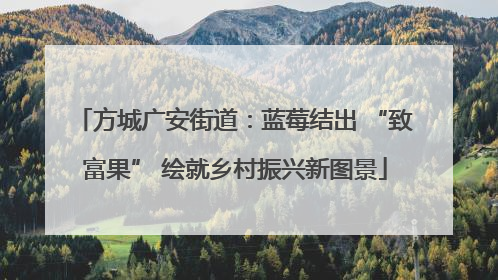 方城广安街道：蓝莓结出 “致富果” 绘就乡村振兴新图景