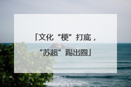 文化“梗”打底，“苏超”踢出圈