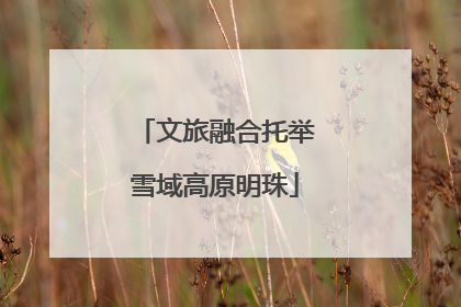 文旅融合托举雪域高原明珠
