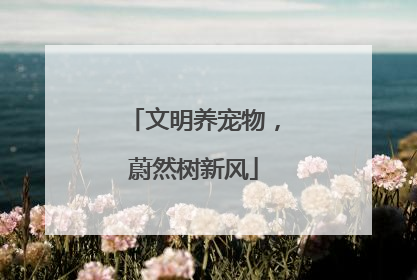 文明养宠物，蔚然树新风