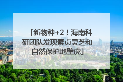 新物种+2！海南科研团队发现素贞灵芝和自然保护地壁虎