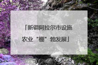 新疆阿拉尔市设施农业“棚”勃发展