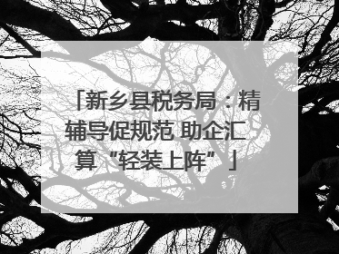 新乡县税务局：精辅导促规范 助企汇算“轻装上阵”