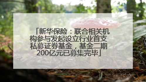 新华保险：联合相关机构参与发起设立行业首支私募证券基金，基金二期200亿元已募集完毕