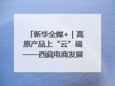 新华全媒+｜高原产品上“云”端——西藏电商发展一线观察