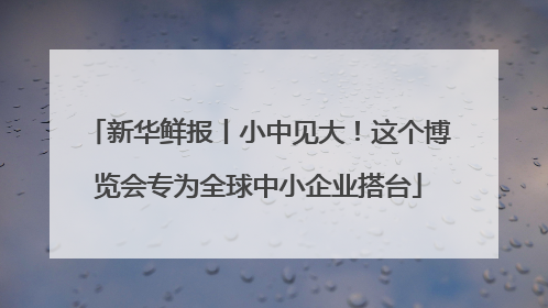 新华鲜报丨小中见大！这个博览会专为全球中小企业搭台