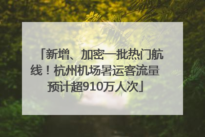 新增、加密一批热门航线！杭州机场暑运客流量预计超910万人次