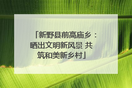 新野县前高庙乡：晒出文明新风景 共筑和美新乡村