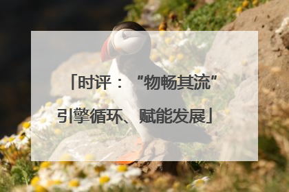 时评：“物畅其流”引擎循环、赋能发展