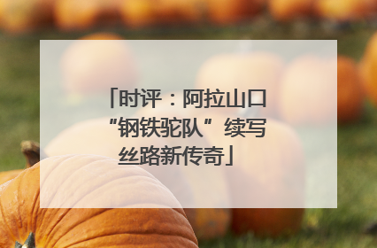 时评：阿拉山口“钢铁驼队”续写丝路新传奇