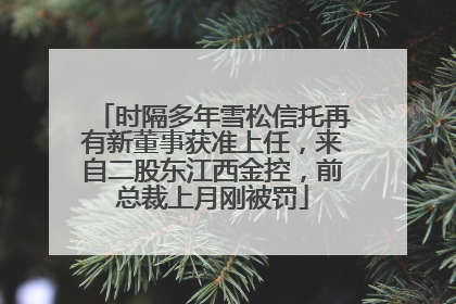 时隔多年雪松信托再有新董事获准上任，来自二股东江西金控，前总裁上月刚被罚