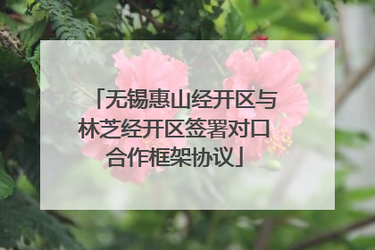 无锡惠山经开区与林芝经开区签署对口合作框架协议