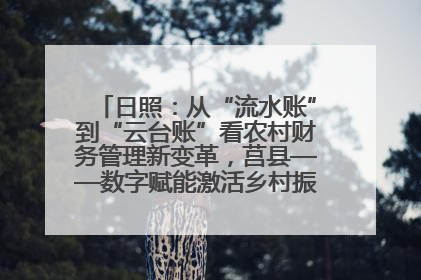 日照：从“流水账”到“云台账”看农村财务管理新变革，莒县——数字赋能激活乡村振兴“一池春水”