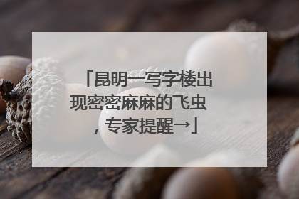 昆明一写字楼出现密密麻麻的飞虫，专家提醒→