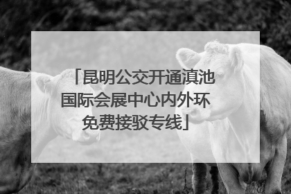 昆明公交开通滇池国际会展中心内外环免费接驳专线