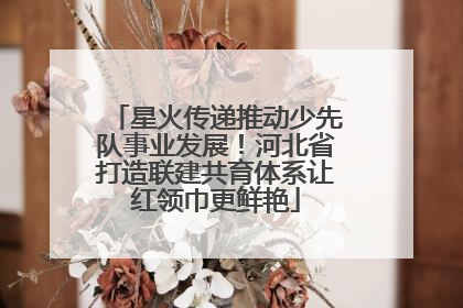 星火传递推动少先队事业发展！河北省打造联建共育体系让红领巾更鲜艳