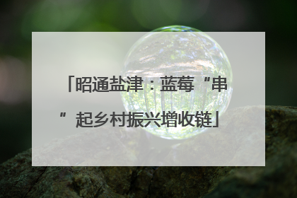 昭通盐津：蓝莓“串”起乡村振兴增收链