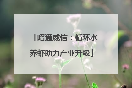 昭通威信：循环水养虾助力产业升级