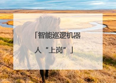 智能巡逻机器人“上岗”