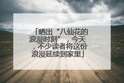 晒出“八仙花的浪漫时刻”，今天，不少读者将这份浪漫延续到家里