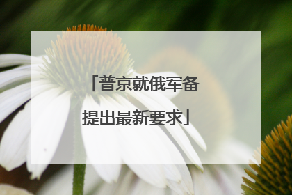 普京就俄军备提出最新要求
