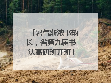 暑气渐浓书韵长，省第九届书法高研班开班