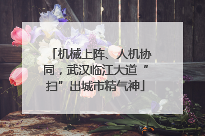 机械上阵、人机协同，武汉临江大道“扫”出城市精气神