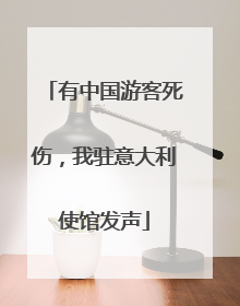 有中国游客死伤，我驻意大利使馆发声