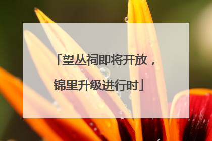 望丛祠即将开放，锦里升级进行时