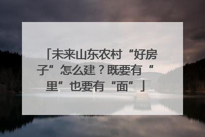 未来山东农村“好房子”怎么建？既要有“里”也要有“面”