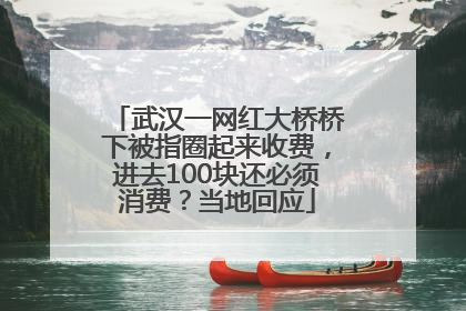 武汉一网红大桥桥下被指圈起来收费，进去100块还必须消费？当地回应