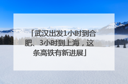 武汉出发1小时到合肥、3小时到上海，这条高铁有新进展