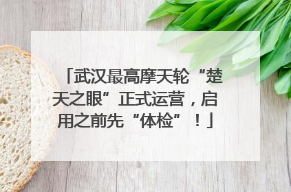 武汉最高摩天轮“楚天之眼”正式运营，启用之前先“体检”！
