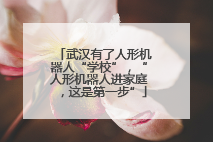 武汉有了人形机器人“学校”，“人形机器人进家庭，这是第一步”