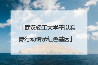 武汉轻工大学子以实际行动传承红色基因