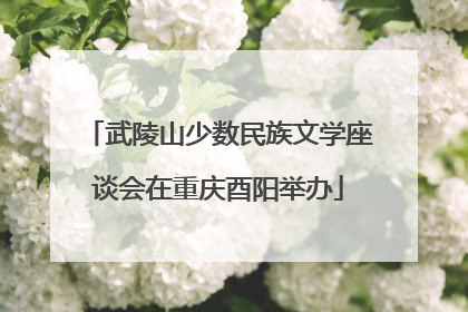 武陵山少数民族文学座谈会在重庆酉阳举办