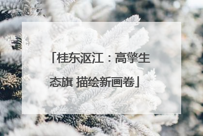 桂东沤江：高擎生态旗 描绘新画卷