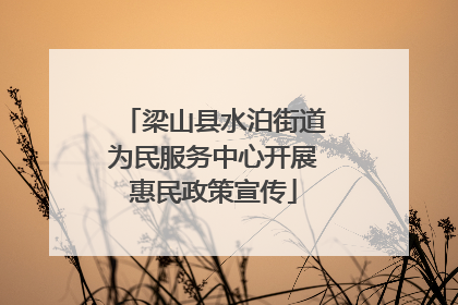 梁山县水泊街道为民服务中心开展惠民政策宣传