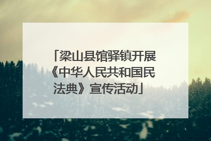 梁山县馆驿镇开展《中华人民共和国民法典》宣传活动