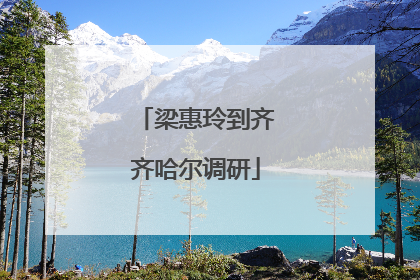 梁惠玲到齐齐哈尔调研